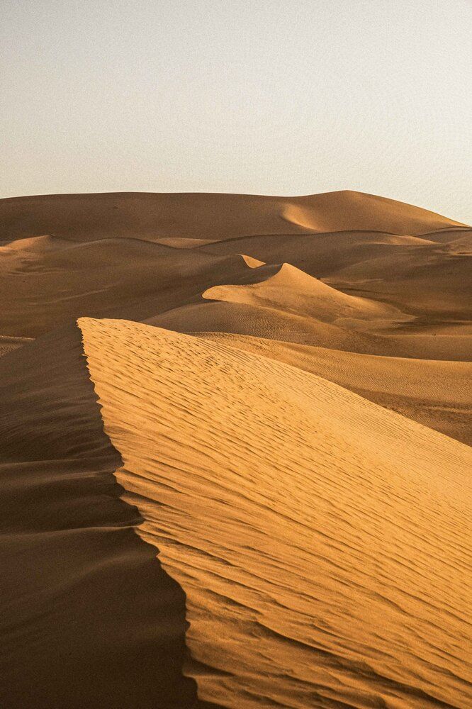 Фотография автора Maxine Noel