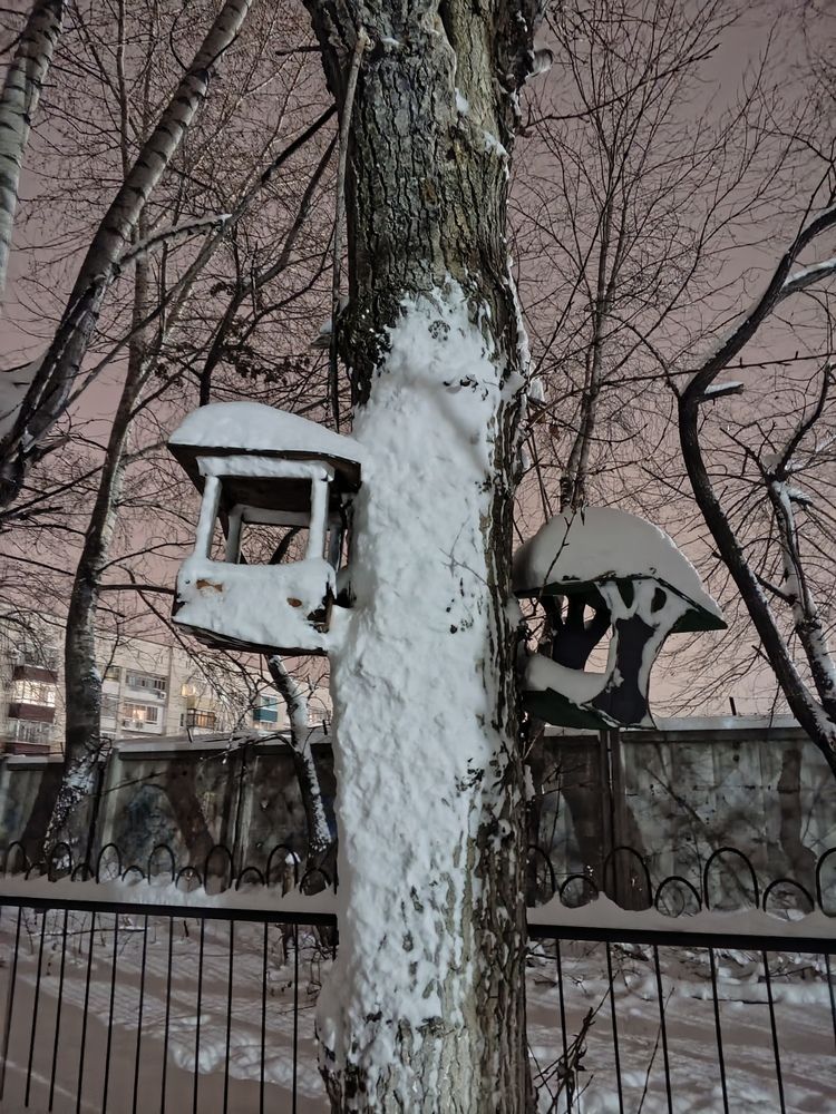 Photograph by Алëна