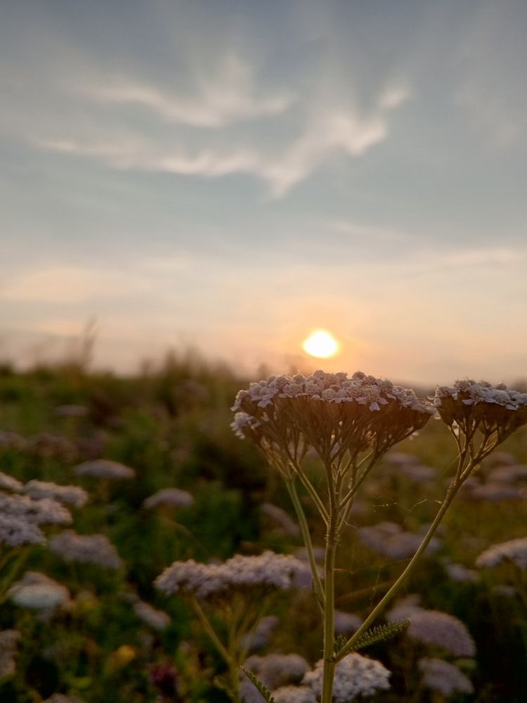 Photograph by Алëна