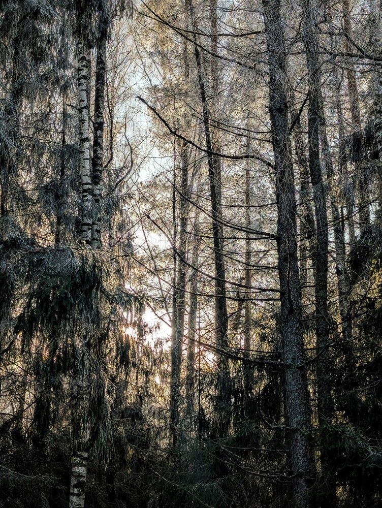 Photograph by Никита Минаев