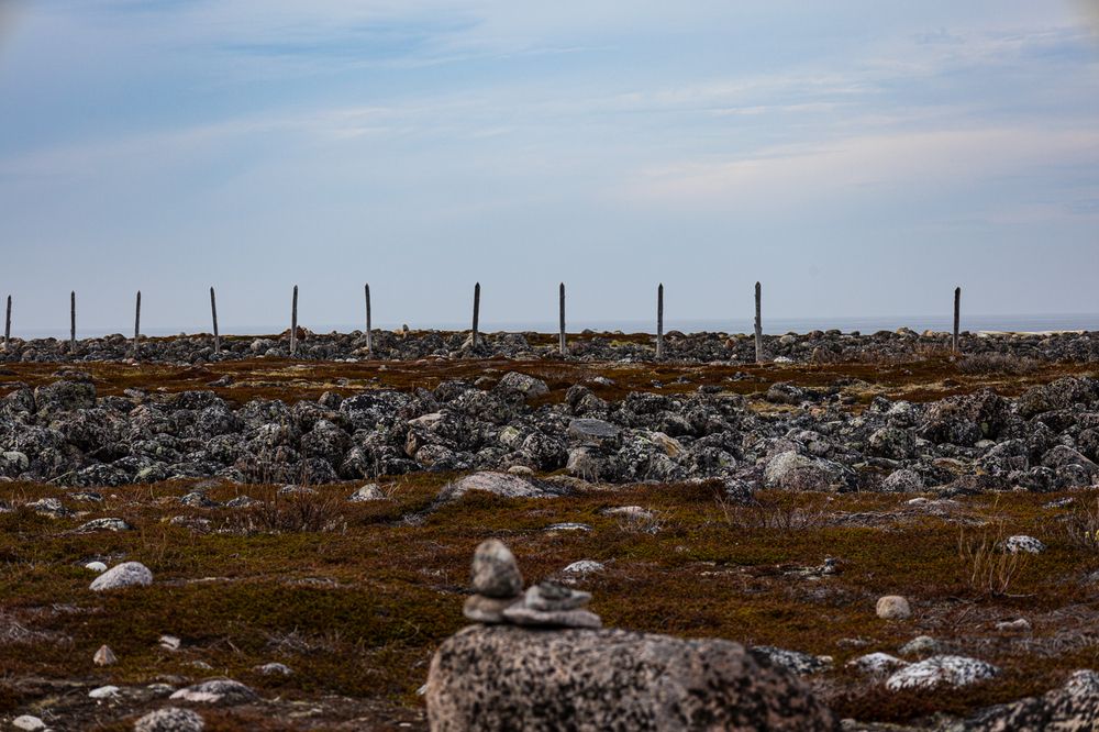 Photograph by Irina Belyaeva