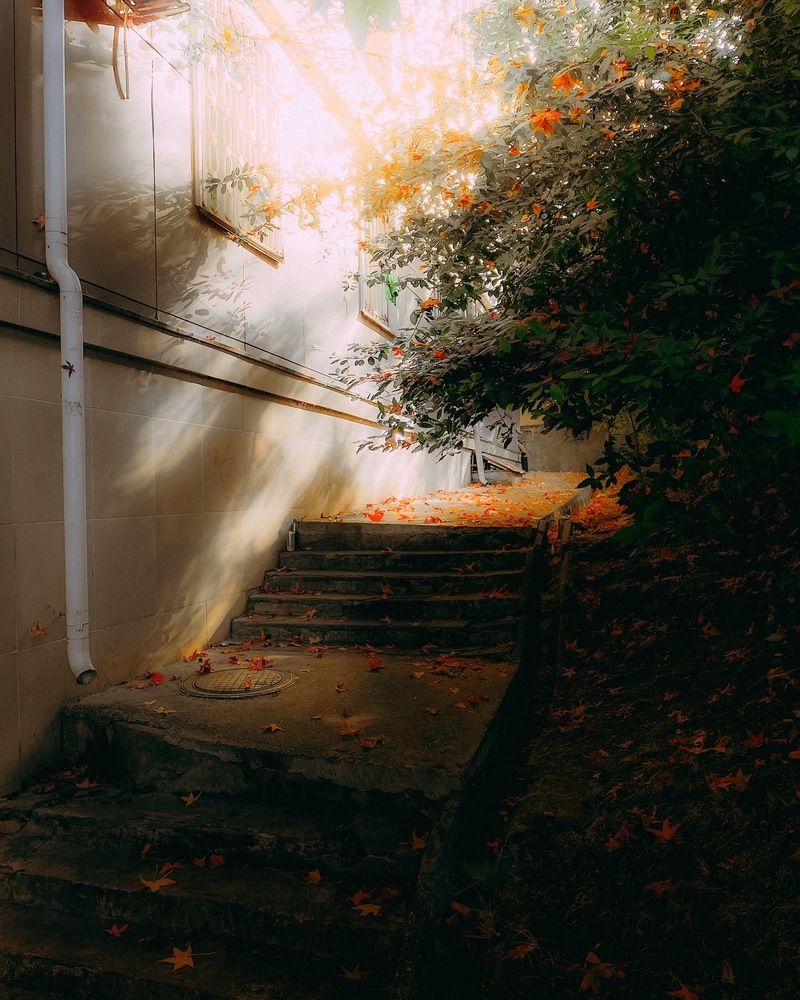 Фотография автора Александр Михайлов