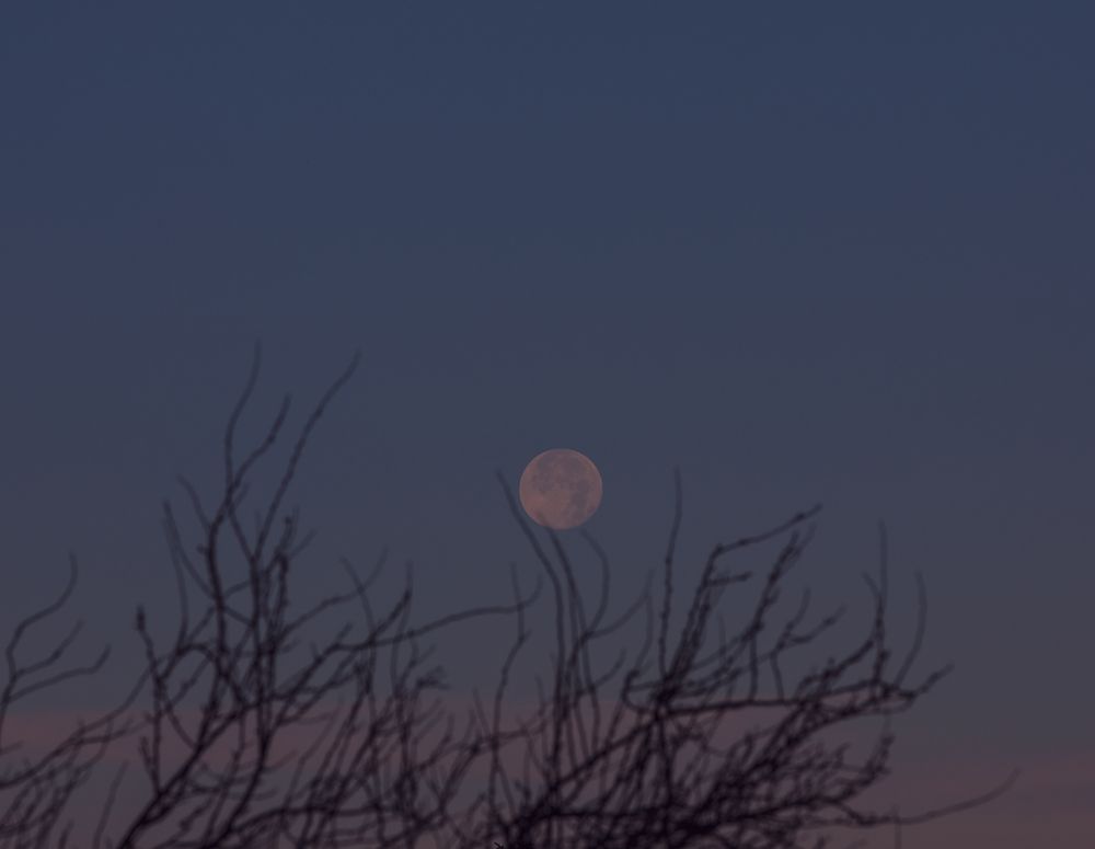 Фотография автора Алина Миняйло