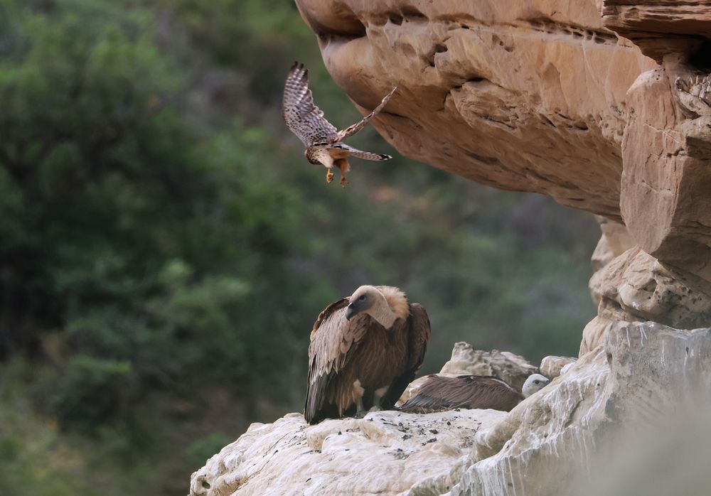 Photograph by Magov Marat