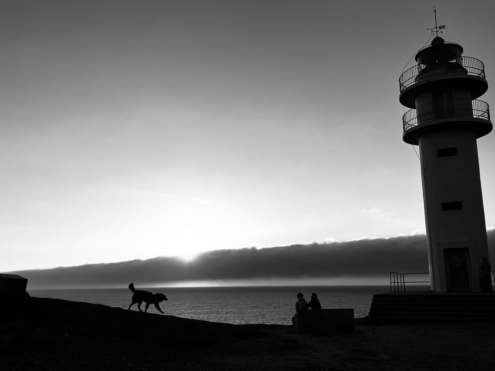 Photo #11859532