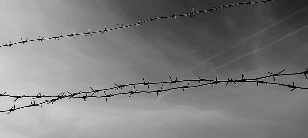 Photograph by Ирина Шибитова