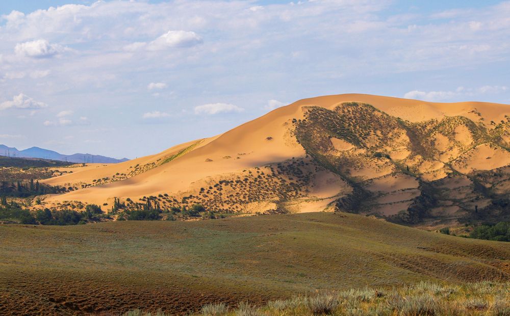 Сары кум.. (Жёлтые пески)