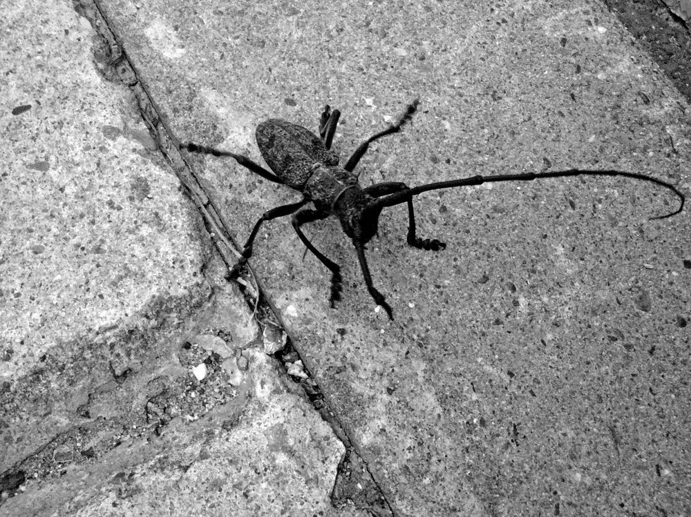 Photograph by Николай Немчанинов