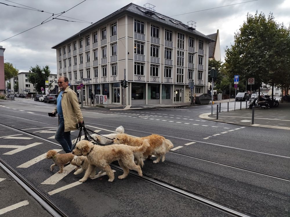 Photograph by Даша