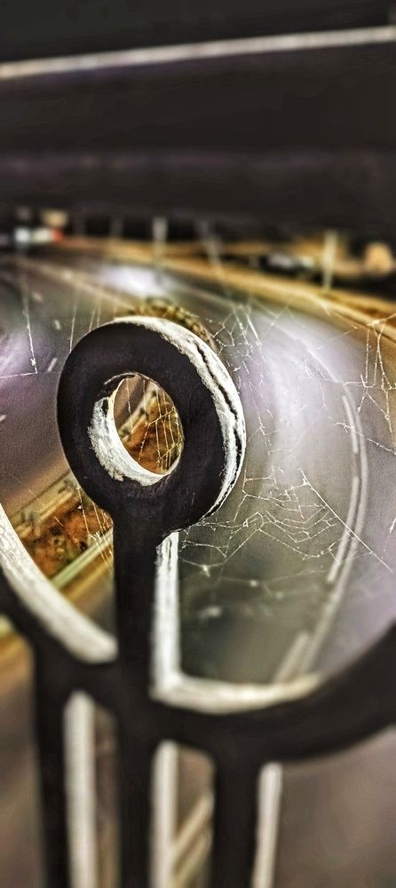 Photograph by Николь Николь