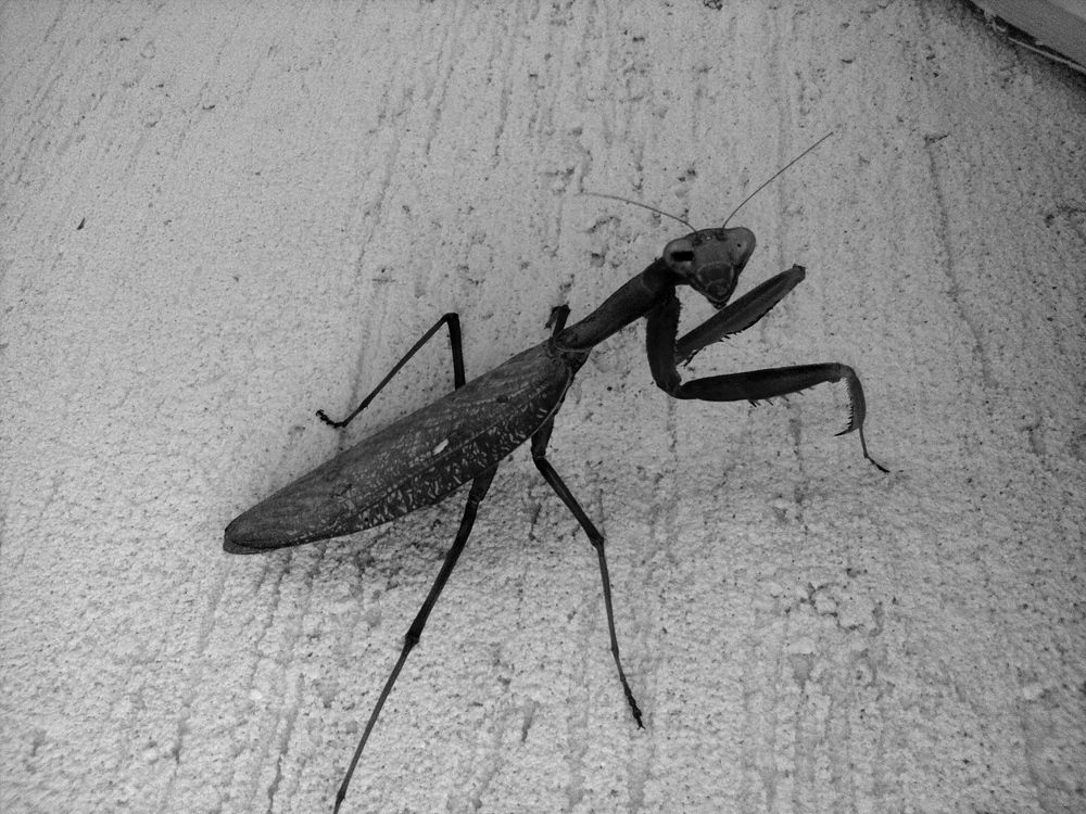 Photograph by Николай Немчанинов