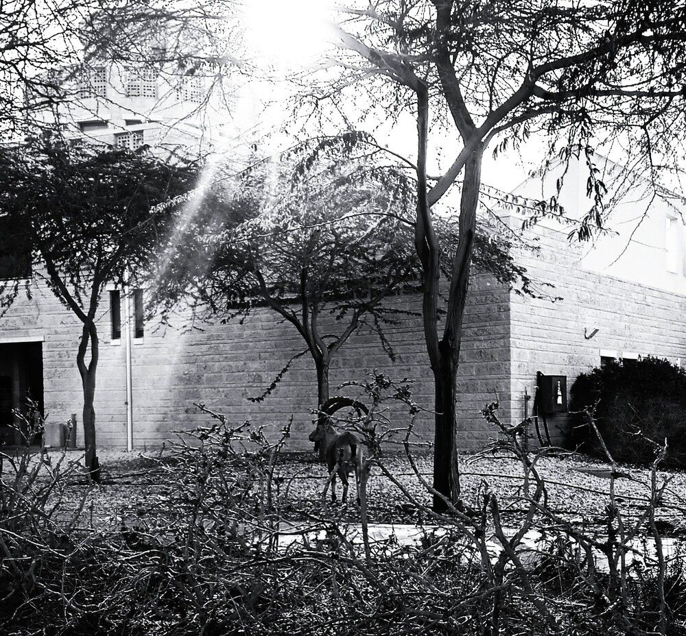 Photograph by Leonid Yarmolinsky