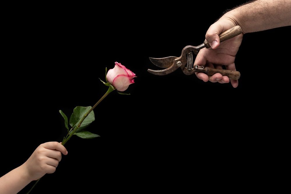 Photograph by Mohamad Al Dabbas