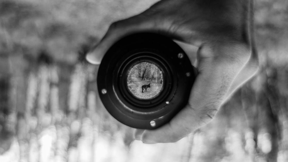 Photograph by Андрей Летов