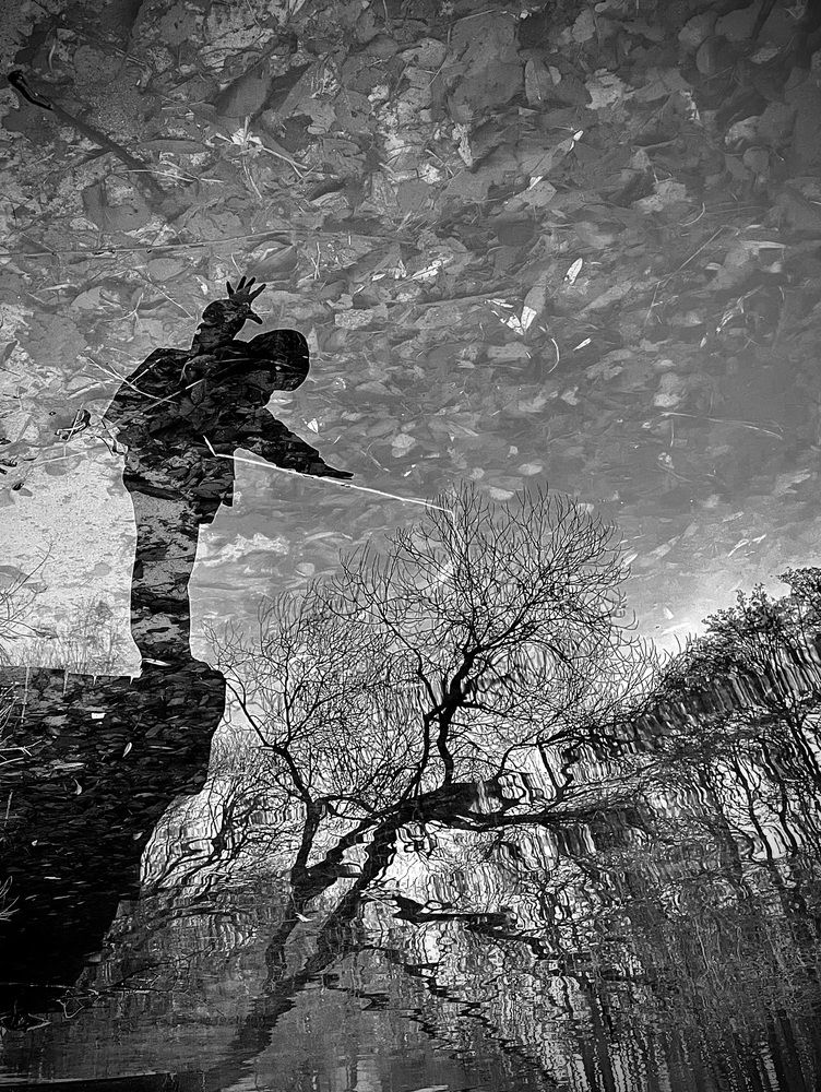 Фотография автора Aliaksandr Shautsou