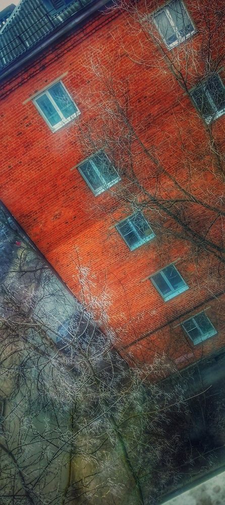 Photograph by Николь Николь