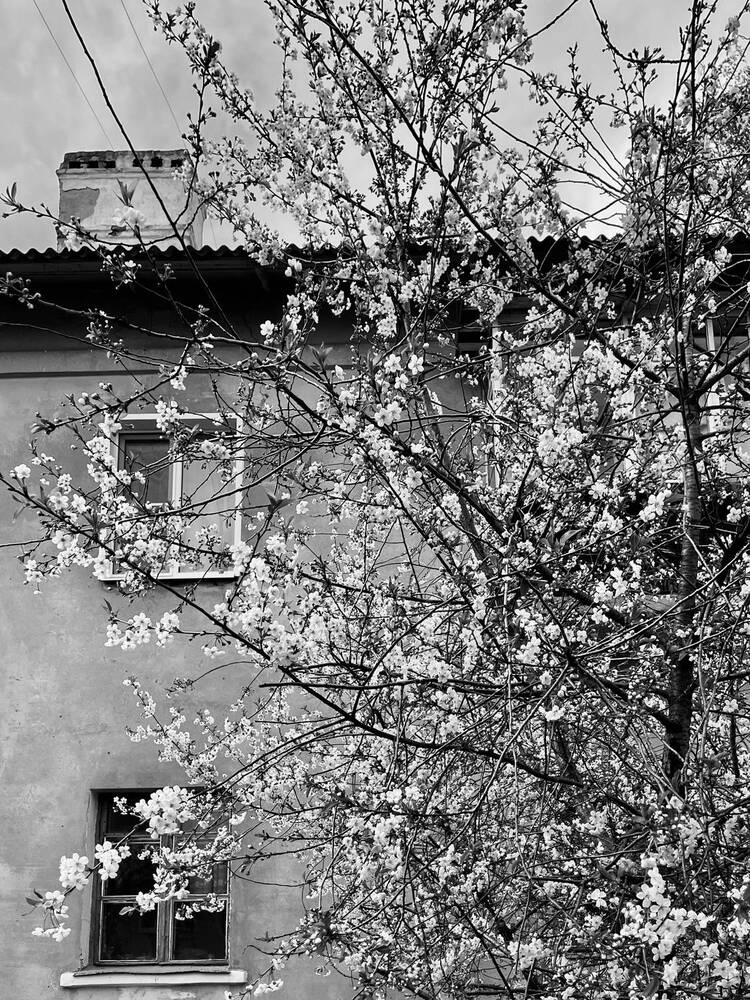 Photograph by Екатерина Кузнецова