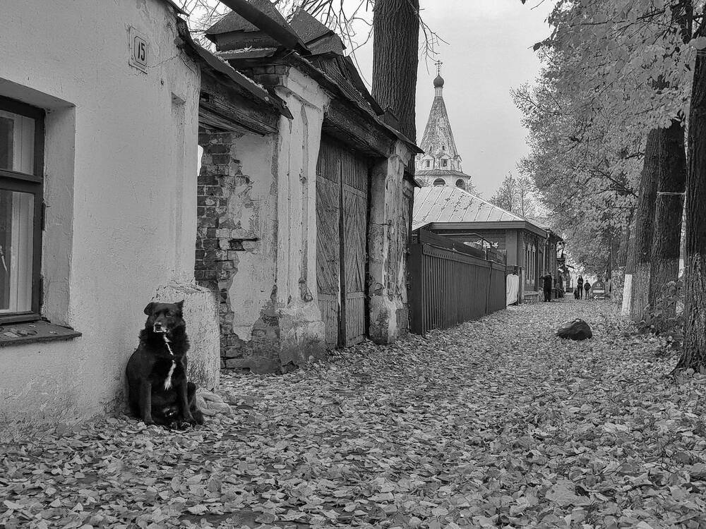 На улице Суздаля