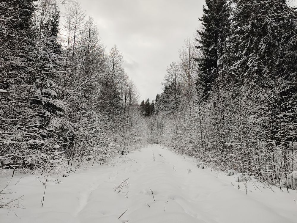 Photograph by Лолита Богачева