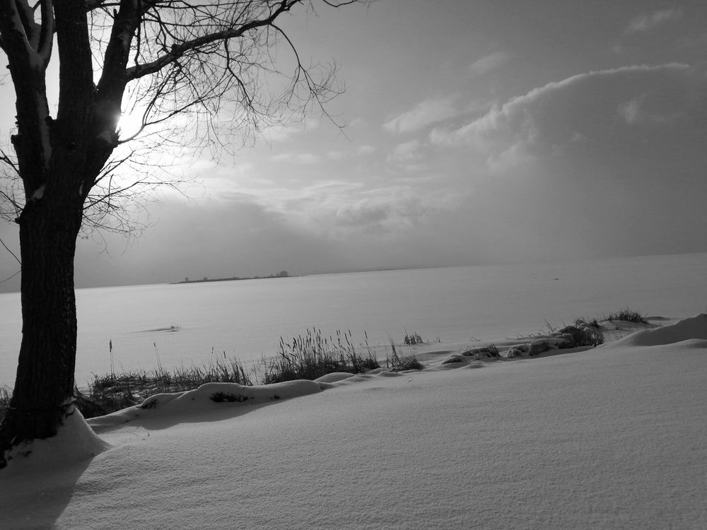 Фотография автора Кузьмичева Екатерина Васильевна