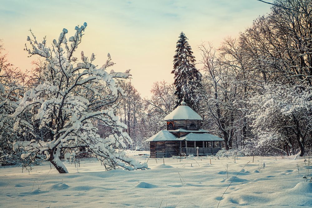 Photograph by Ирина Ларина