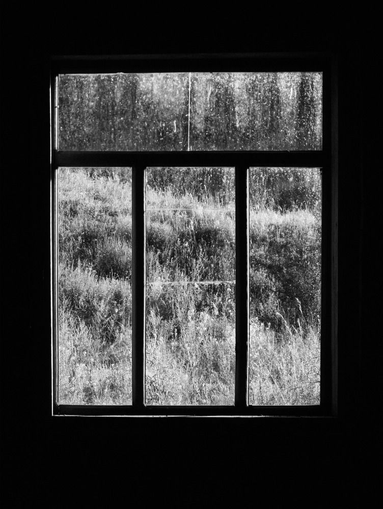 Photograph by Андрей Летов