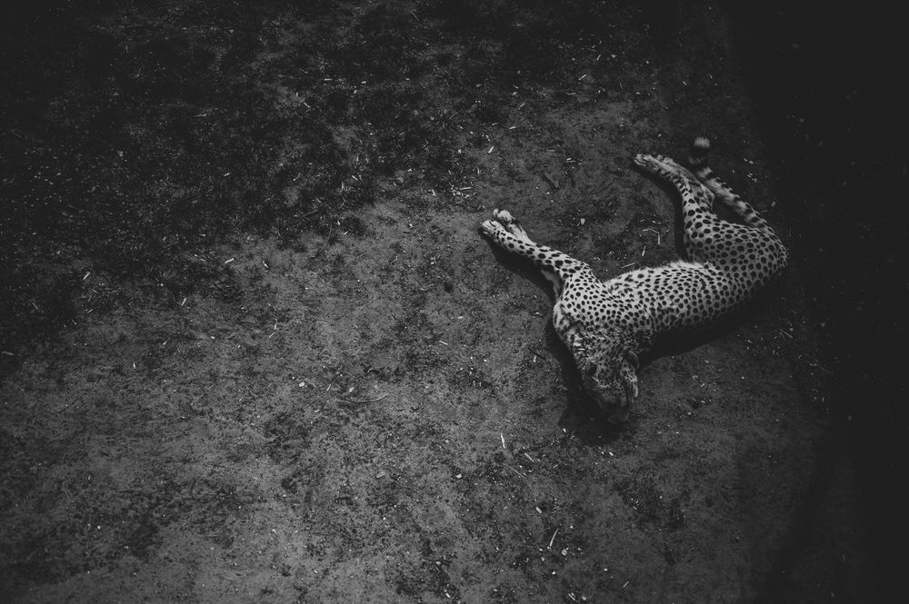 Фотография автора Алина Миняйло