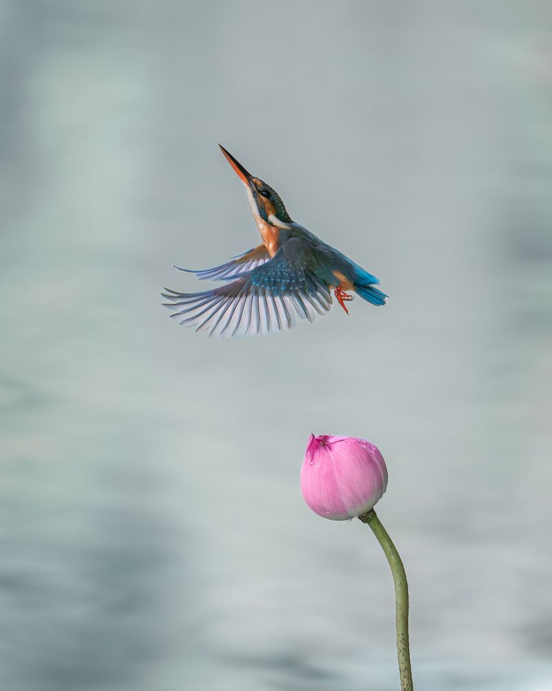 Photograph by Truong Cong Minh Dang