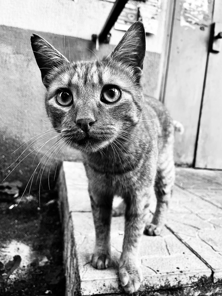 Фотография автора Aliaksandr Shautsou