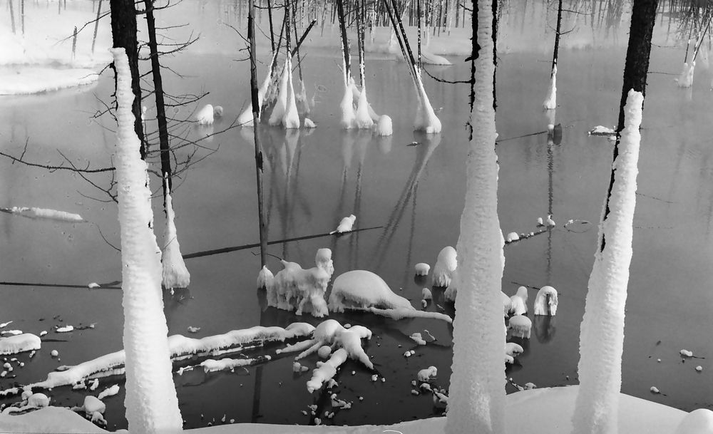 Photograph by Владимир