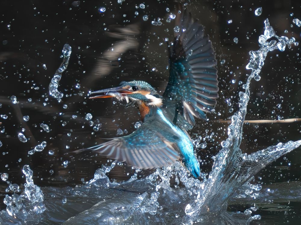 Photograph by Truong Cong Minh Dang