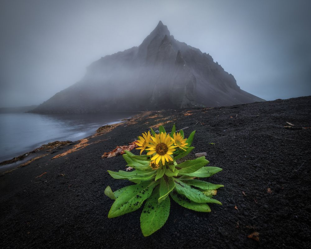 Photograph by Андрей Грачев