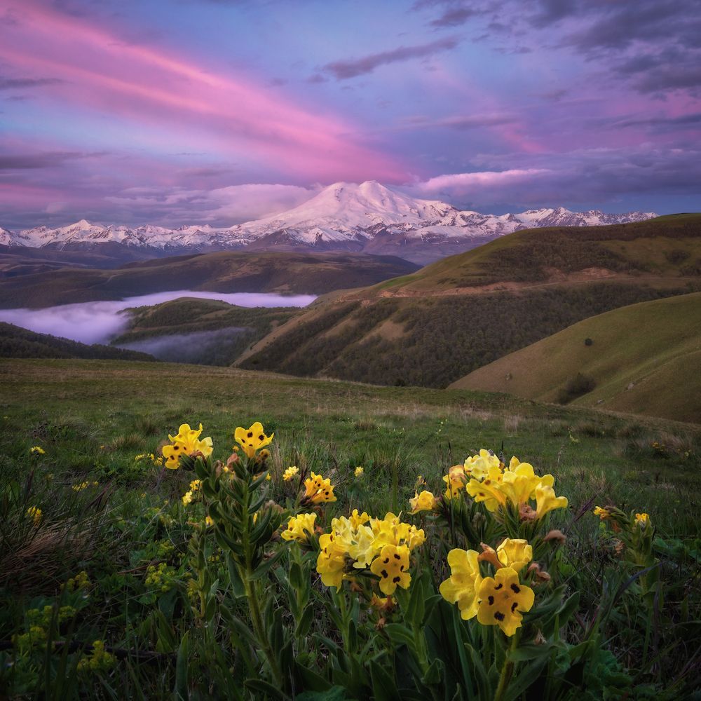 Photograph by Андрей Грачев