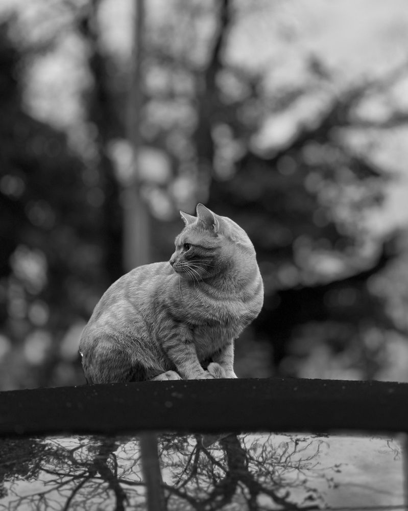 Photograph by Marina Odintsova