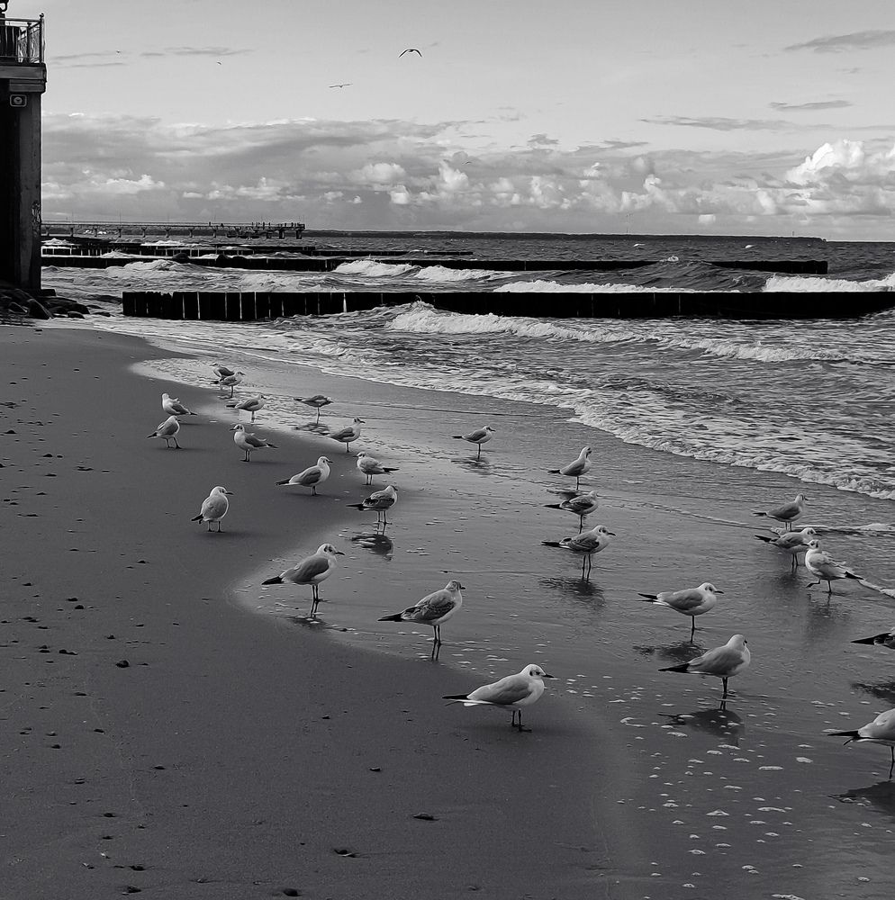 Photograph by Вероника Летецкая