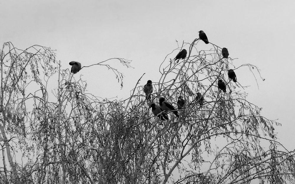 Photograph by Серега Вартман