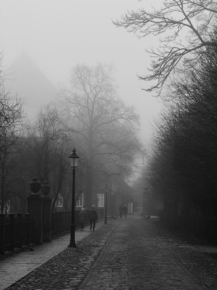 Фотография автора Алина Миняйло