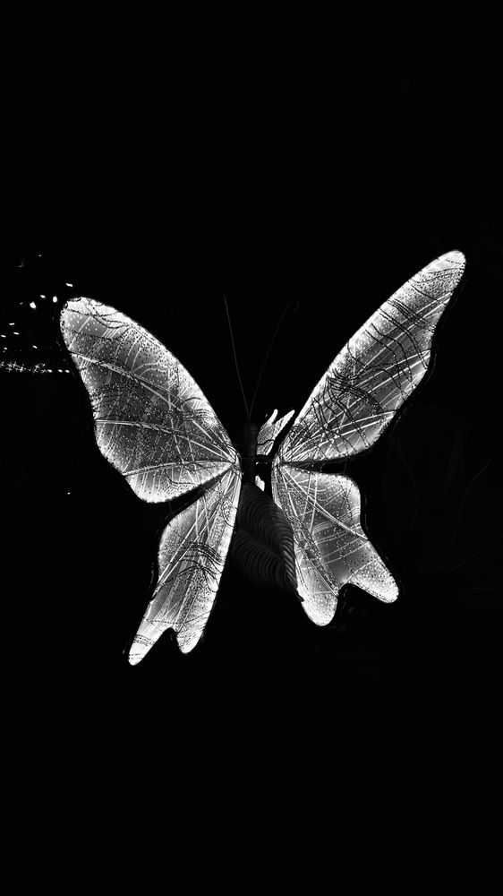 Фотография автора Sarrah Yehia