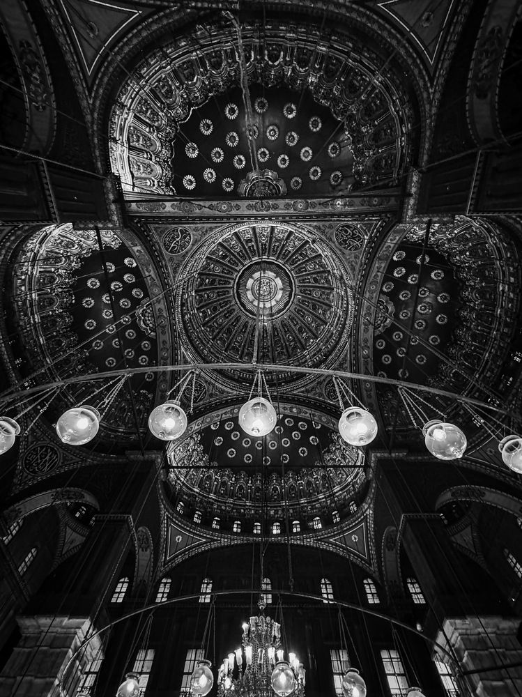 Фотография автора Sarrah Yehia