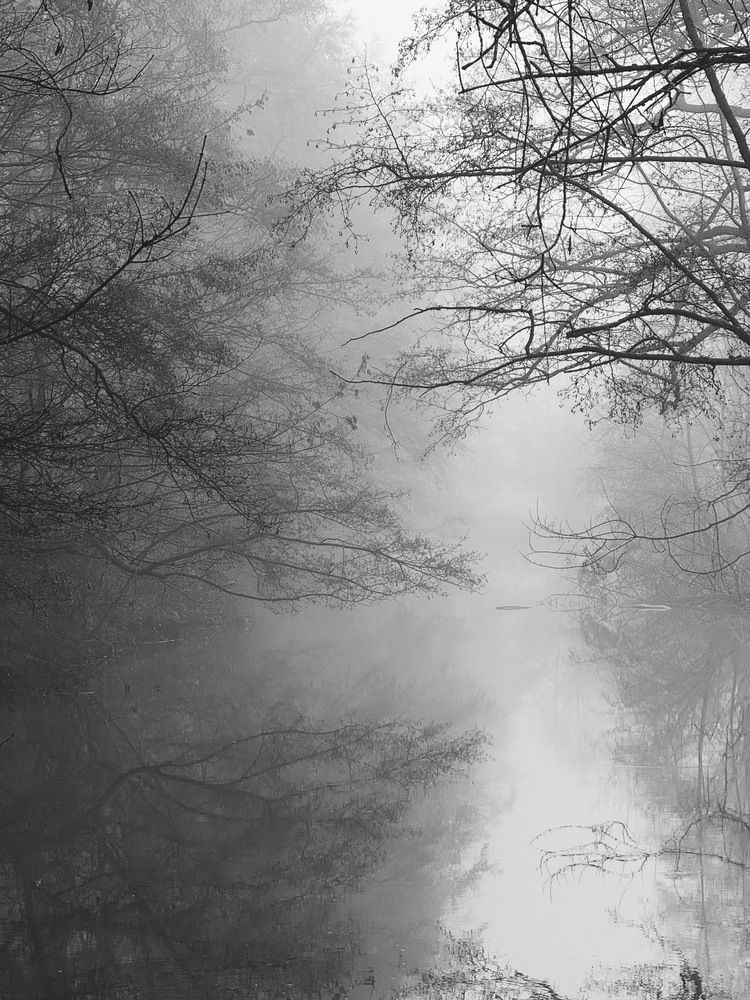 Фотография автора Алина Миняйло