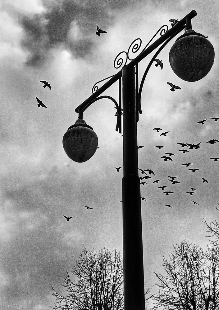 Photograph by Ирина Ермакович