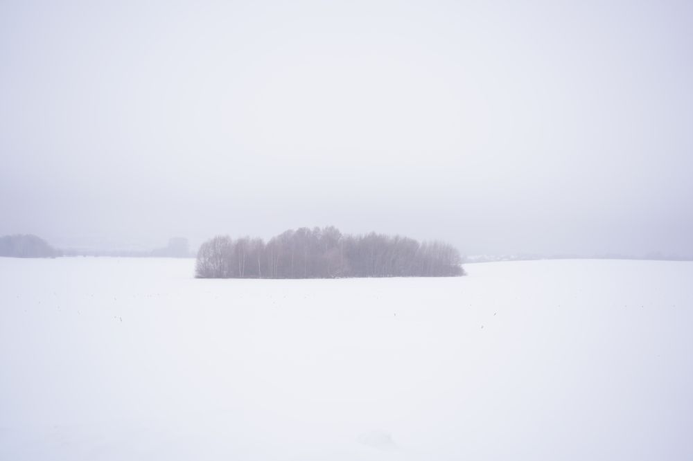 Photograph by Svetlana Reshetnikova