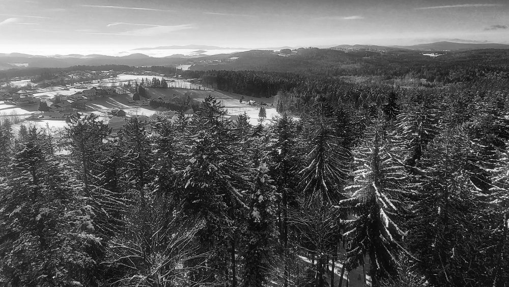 Фотография автора Александр