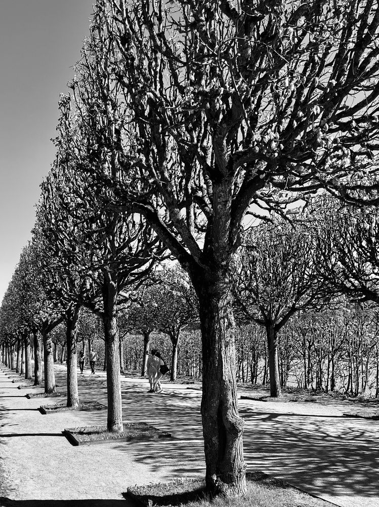 Photograph by Ольга Белоусова