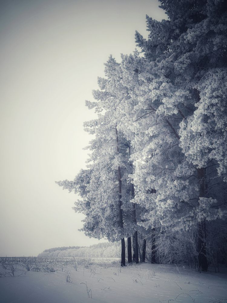 Photograph by Кира Бахвалова