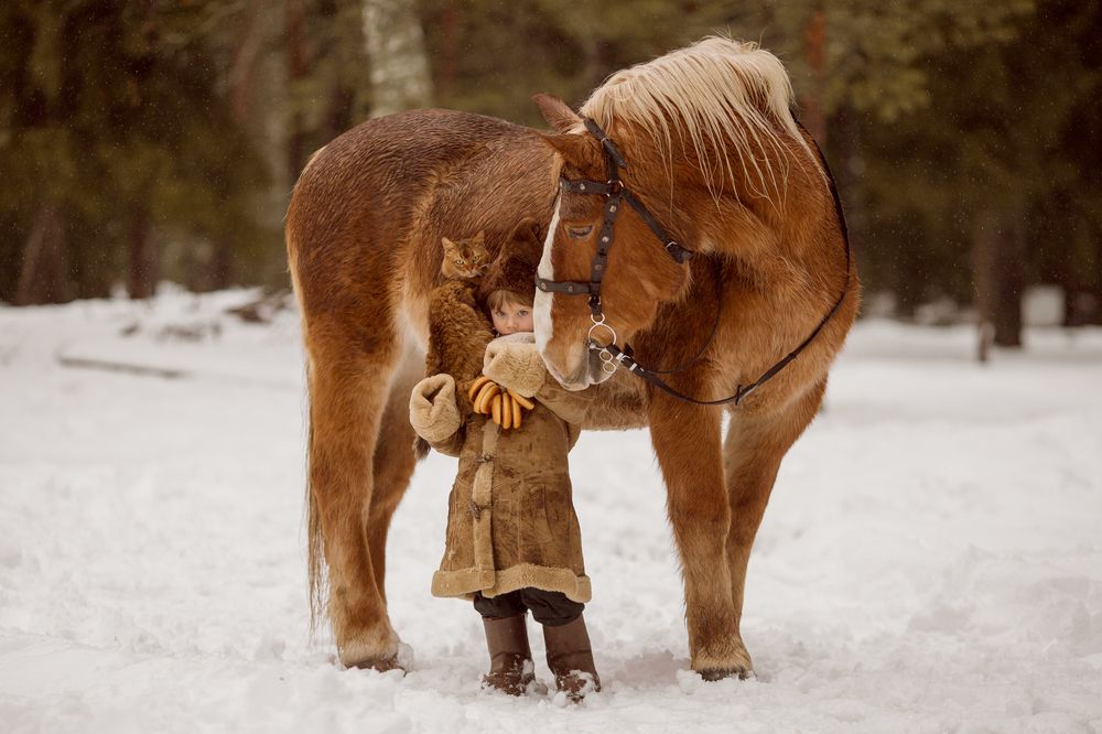 Photograph by Ольга Косова