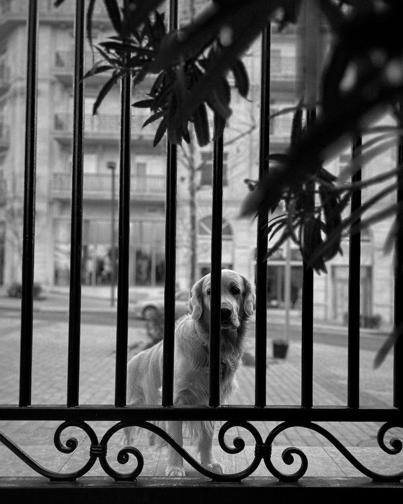 Photograph by Аруза