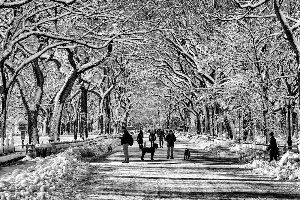 Фотография автора Raffi Bashlian