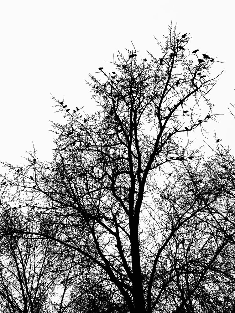 Фотография автора Кирилл Литовский