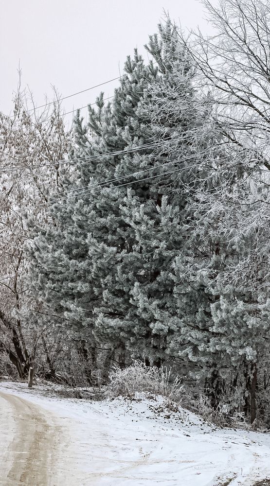 Photograph by Ekaterina